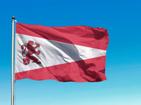 Dienvidkurzemes novada karogs