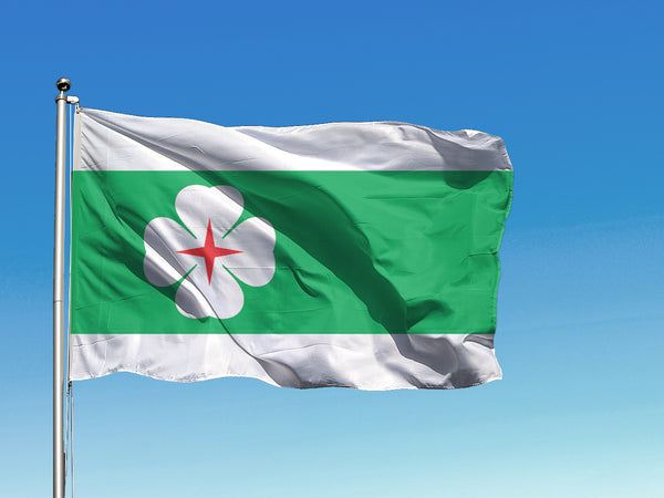 Lääne-Nigula valla lipp
