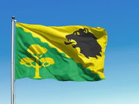 Põhja-Pärnumaa valla lipp
