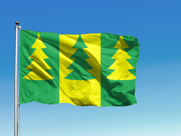 Saarde valla lipp