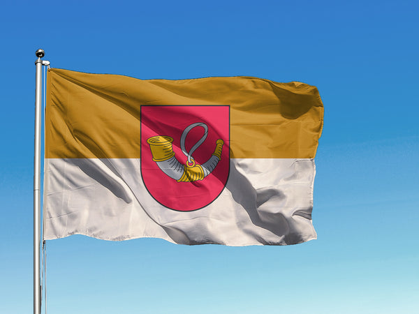 Auces novada karogs