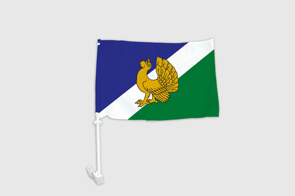 Dundagas novada auto karogs