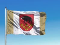 Kandavas novada karogs