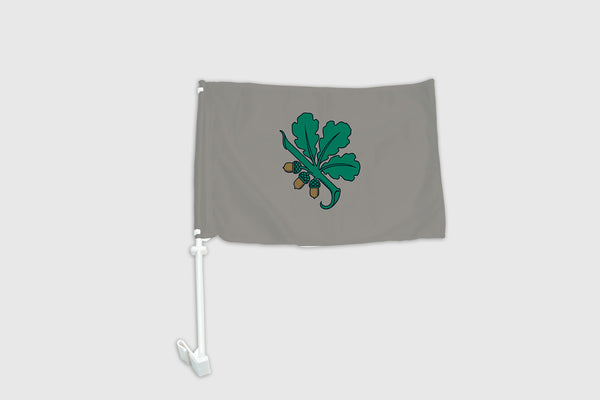Kandavas pilsētas auto karogs