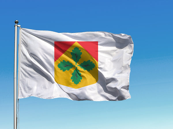 Madlienas pagasta karogs