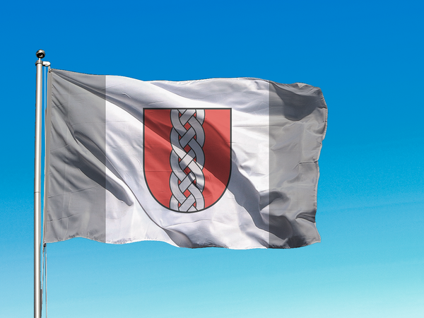 Apvienotā Ropažu novada karogs