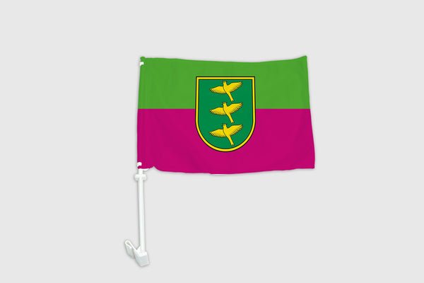 Ropažu novada auto karogs