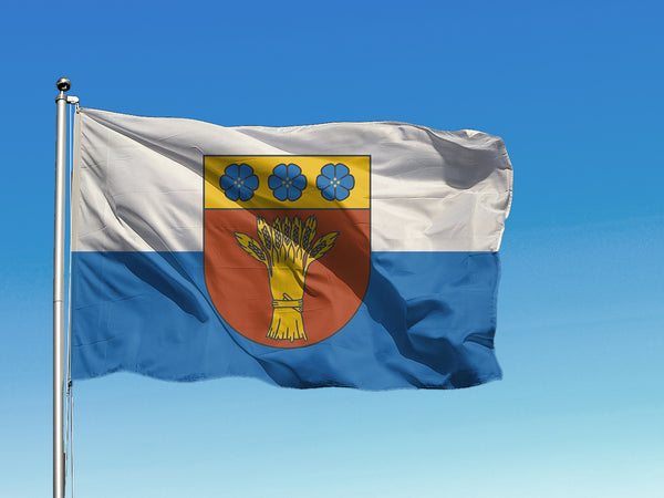 Rūjienas pilsētas karogs