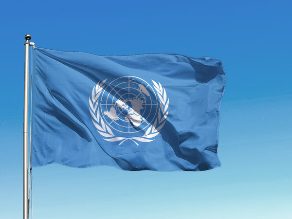 Apvienoto Nāciju Organizācijas karogs
